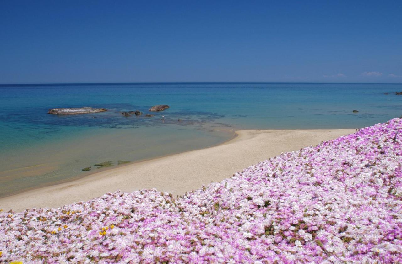 Appartamento Casa Vacanza Le Terrazze Via Parigi,23 Castelsardo Bagian luar foto